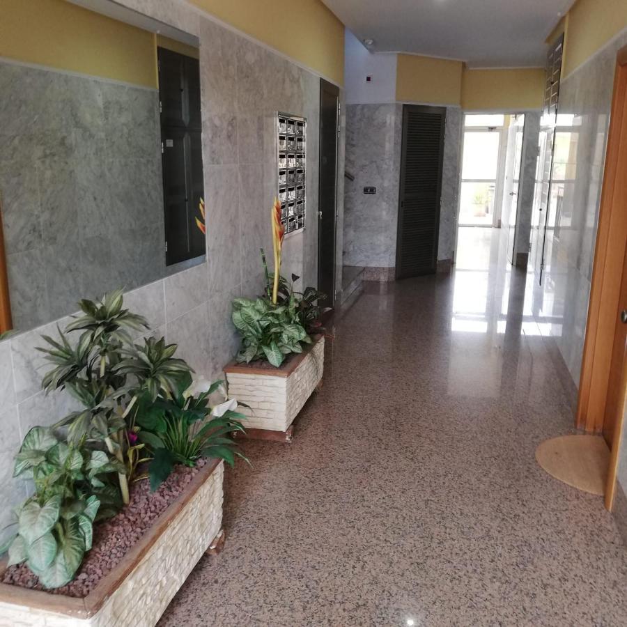 Apartamento A 50 Metros De La Playa Muchavista El Campello Eksteriør billede